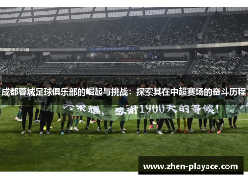 成都蓉城足球俱乐部的崛起与挑战：探索其在中超赛场的奋斗历程